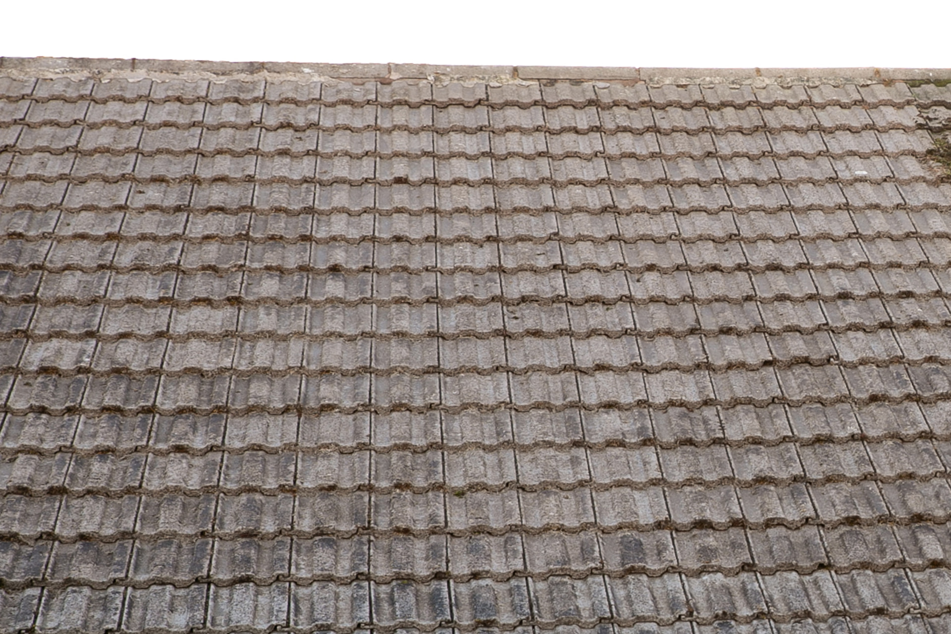 The same roof after moss removal, with the tile profile visible again